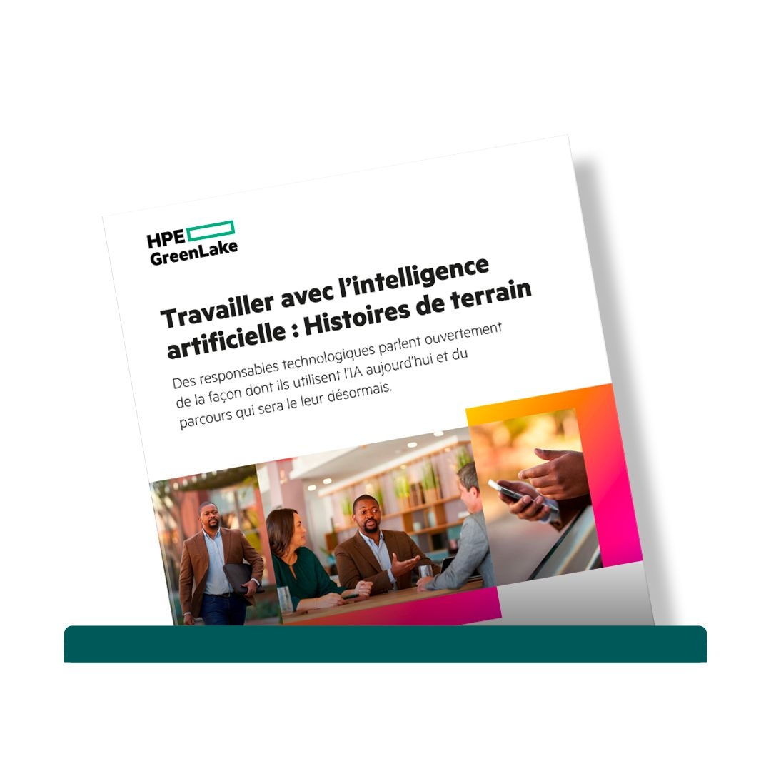 Travailler avec l’intelligence artificielle : Histoires de terrain