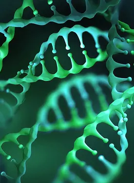 NVIDIA : Améliorer la détection des maladies rares avec le profilage cellulaire alimenté par l'IA