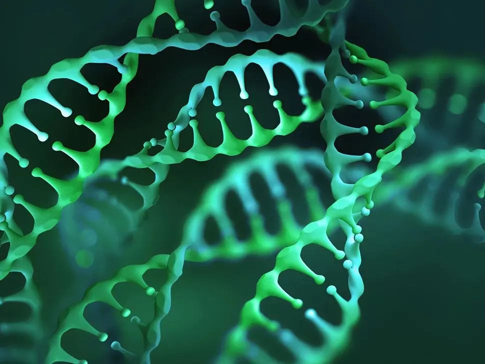 NVIDIA : Améliorer la détection des maladies rares avec le profilage cellulaire alimenté par l'IA