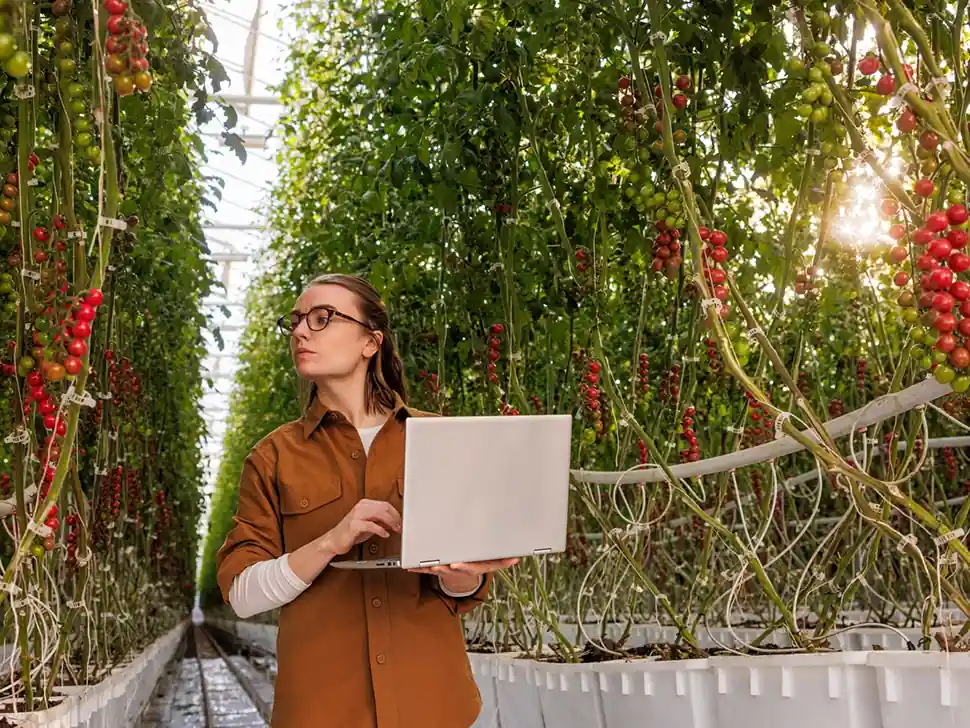 Intel - Nature Fresh